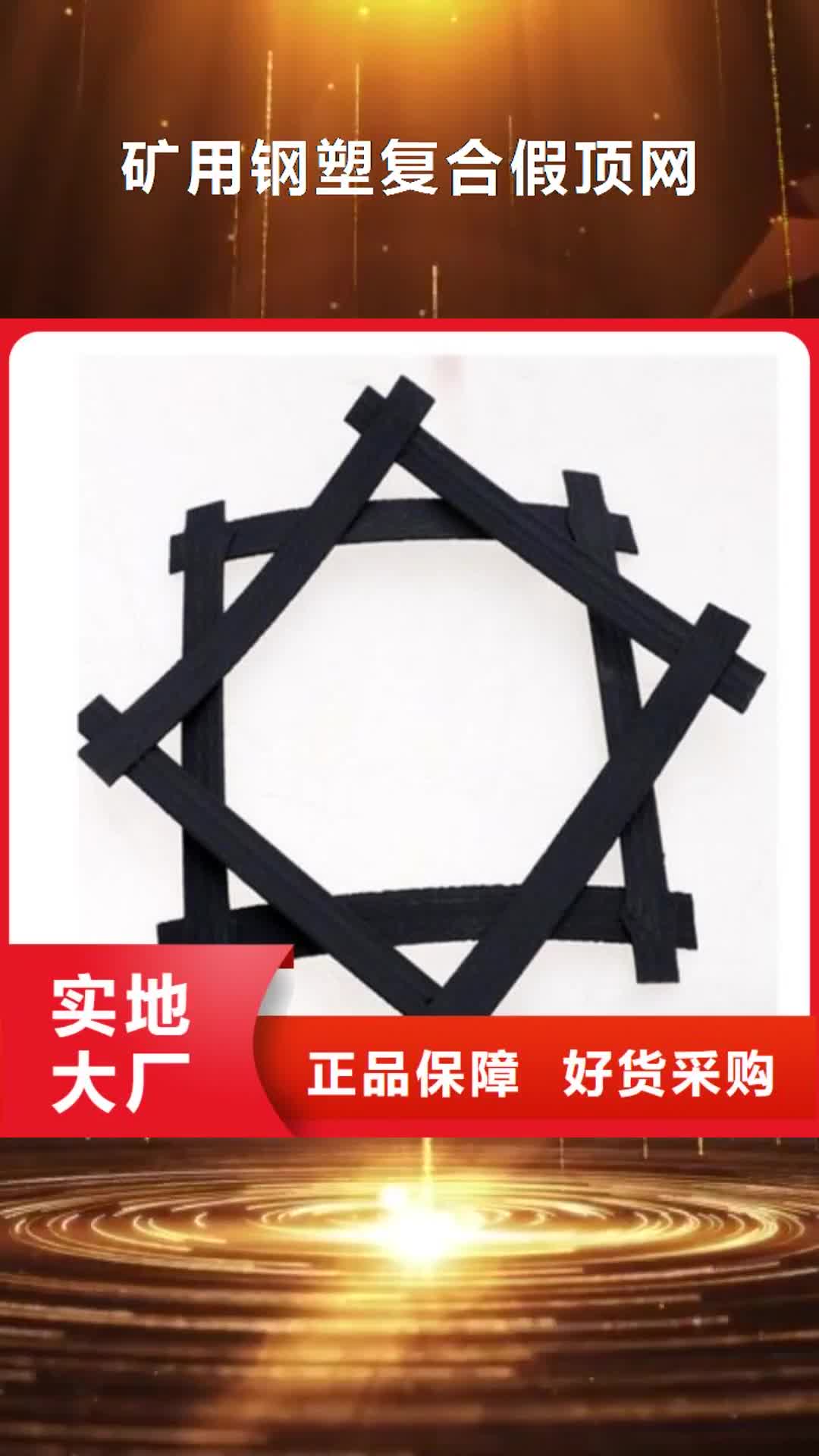 福州 矿用钢塑复合假顶网,【土工布】为品质而生产