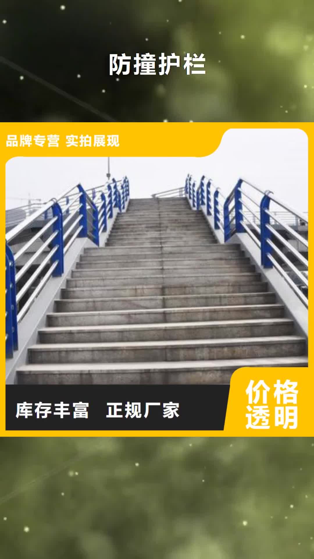 阳江【防撞护栏】_天桥护栏免费获取报价