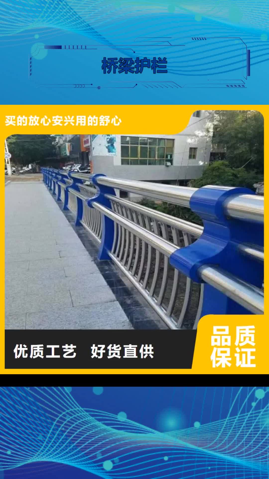 【广东 桥梁护栏_道路防撞护栏全新升级品质保障】