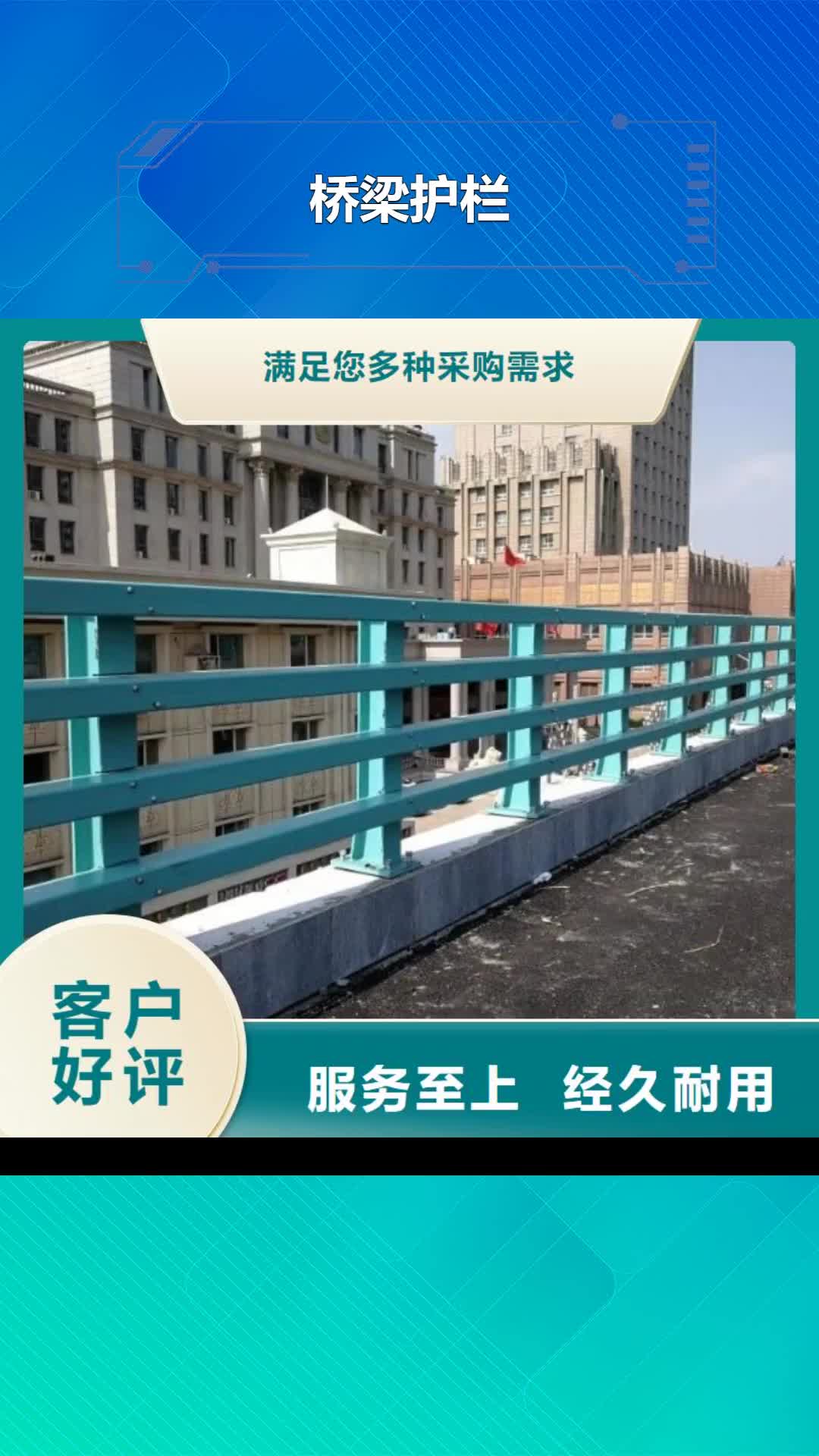 珠海【桥梁护栏】,防撞桥梁栏杆工程施工案例